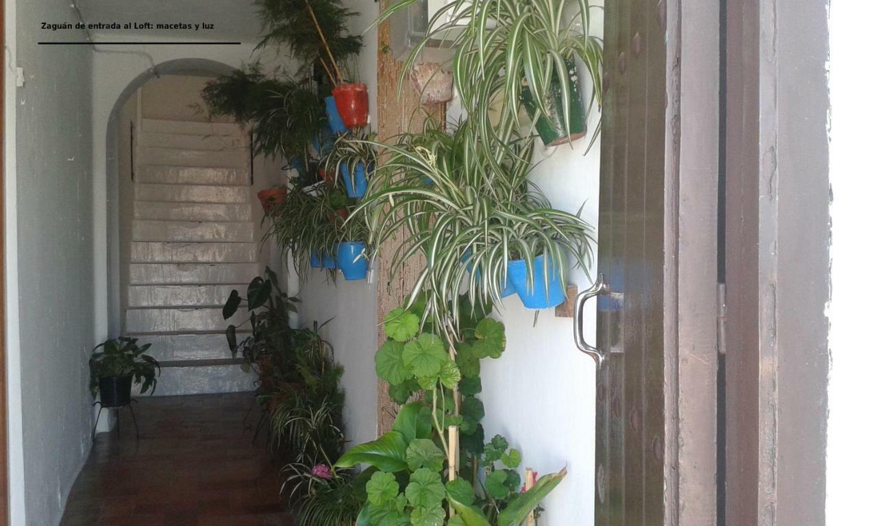Dos Casitas, Dos Calles, - Loft De La Morena O Estudio Jr เวเฮร์ เด ลา ฟรอนเตรา ภายนอก รูปภาพ